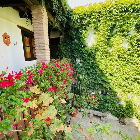 La Casa Grande *