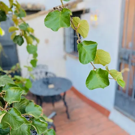 Hotel La Casa Grande *